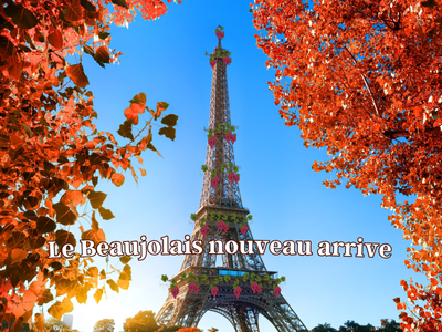 croisière seine beaujolais nouveau croisière seine beaujolais nouveau